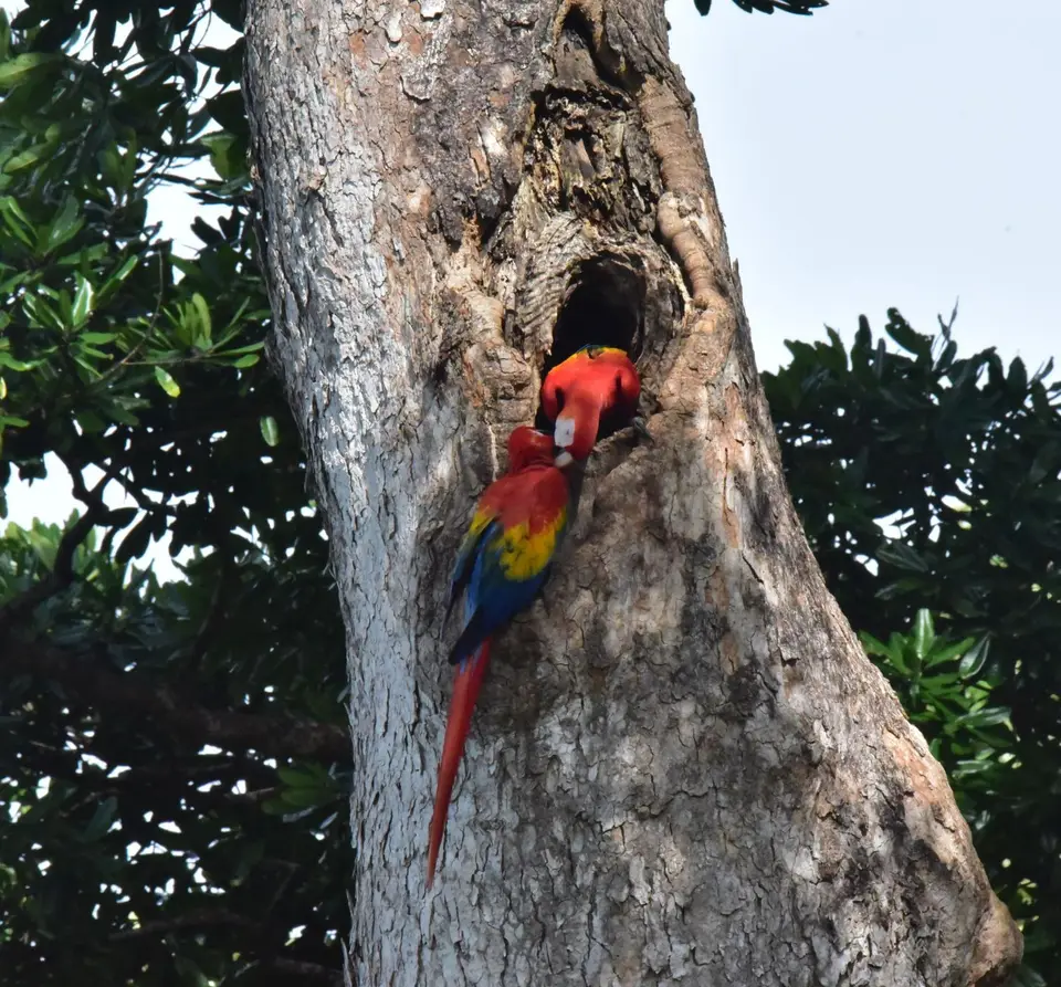 DSC_9354a.jpg