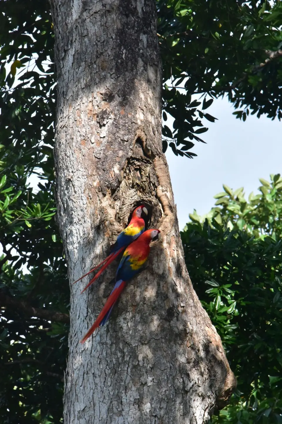 DSC_9367a.jpg