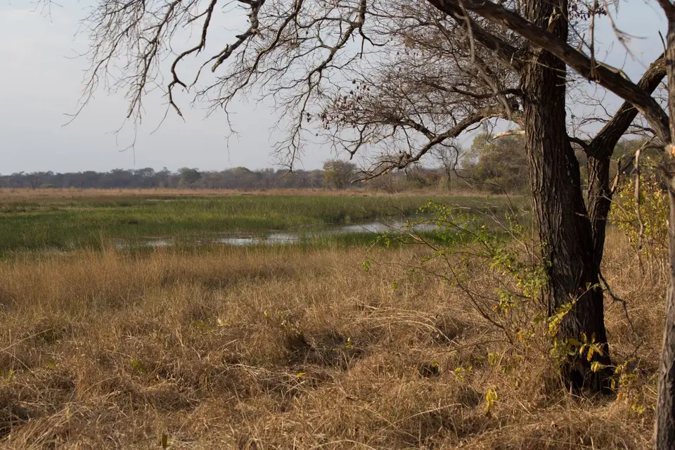 004_Sambia_20160901.jpg