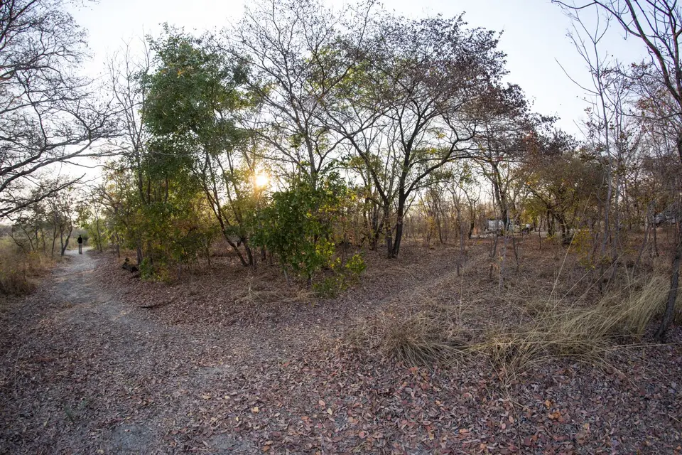 005_Sambia_20160902.jpg