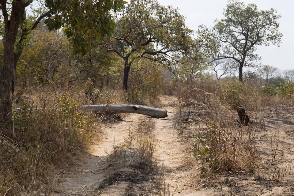 011_Sambia_20160902.jpg