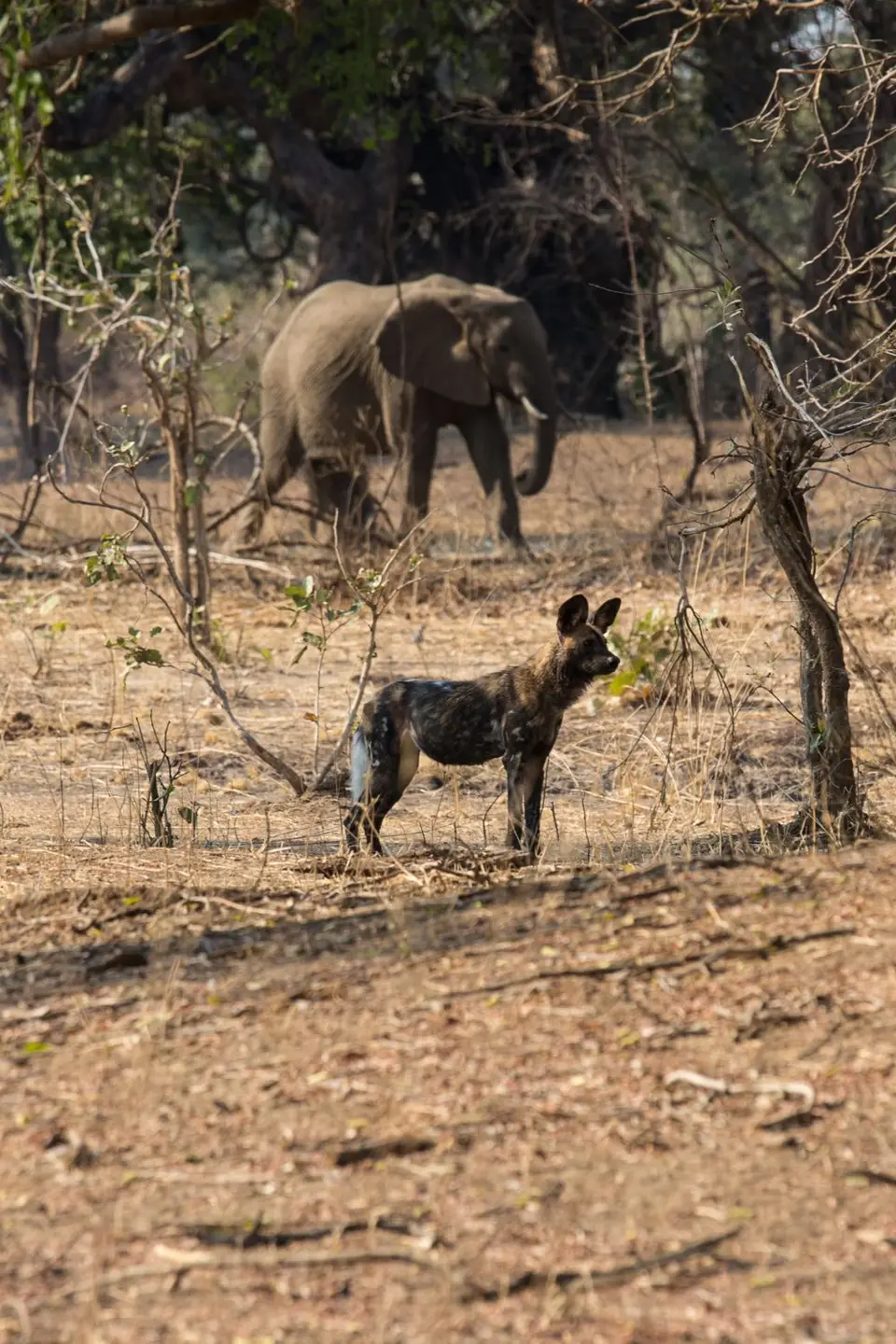 150_Sambia2016_20160909.jpg