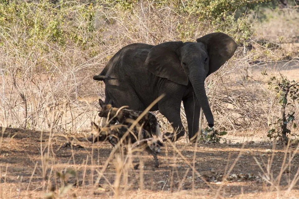 159_Sambia2016_20160909.jpg