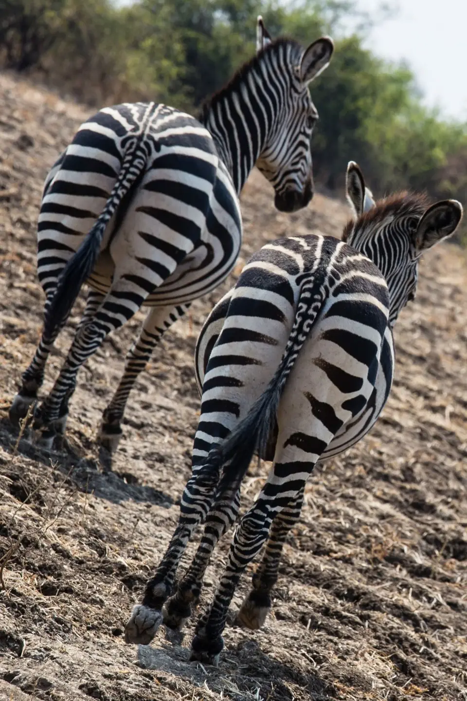 166_Sambia2016_20160909.jpg
