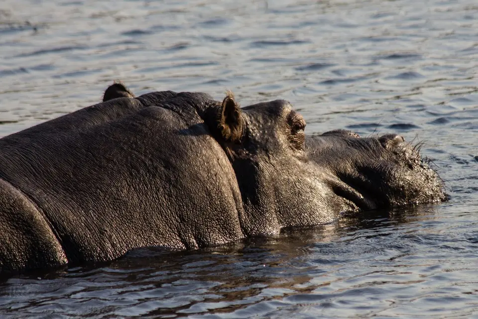200_Sambia2016_20160912.jpg