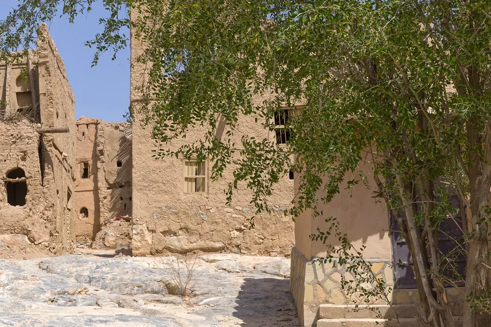 0404-web.jpg