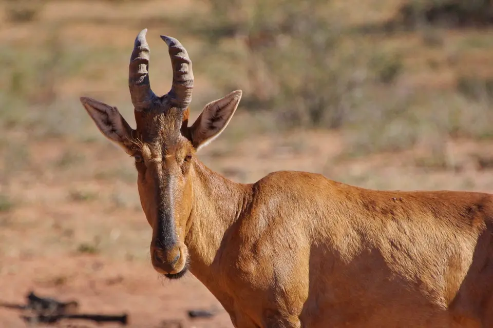 namibia-2019-05-0315-38-05.JPG