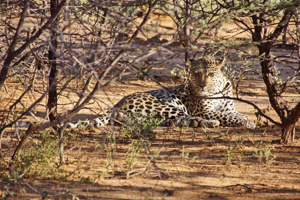 namibia-2019-05-0408-22-06.JPG