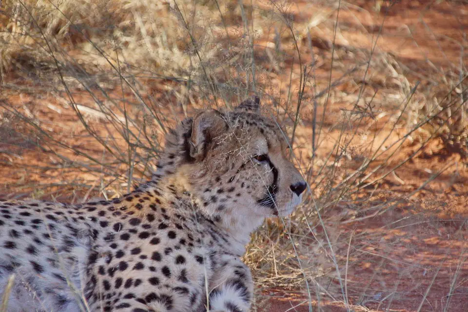 namibia-2019-05-0416-58-21.JPG