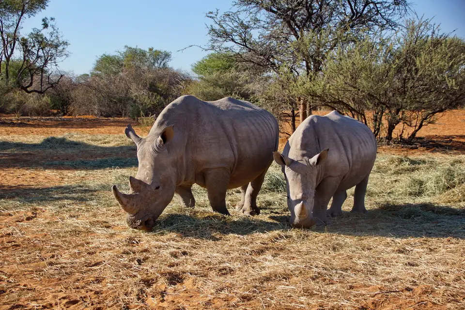 namibia-2019-05-0516-28-26.JPG