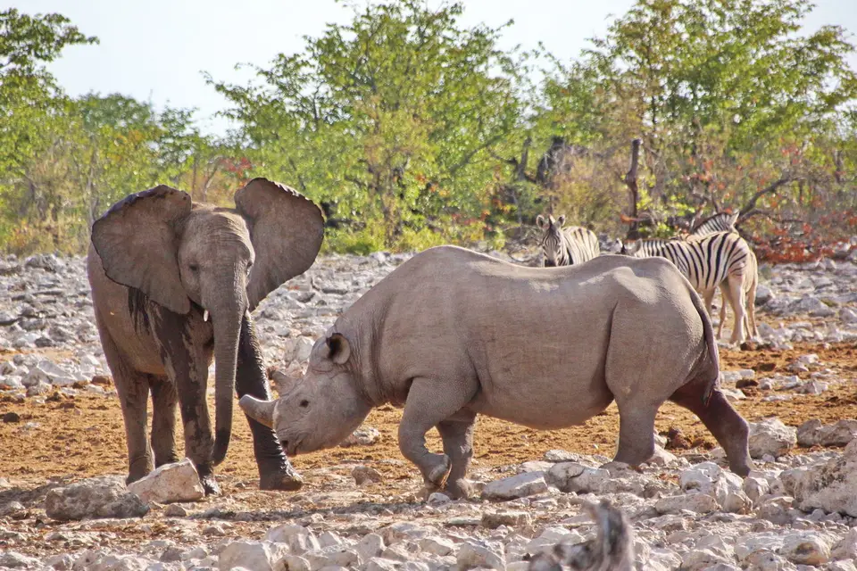 namibia-2019-05-0716-19-49.jpg