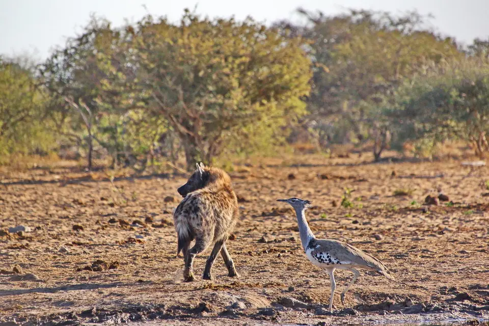 namibia-2019-05-0808-34-27.jpg