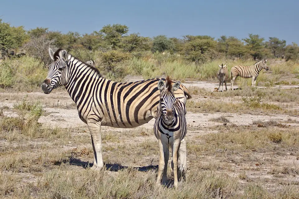 namibia-2019-05-0811-00-47.jpg