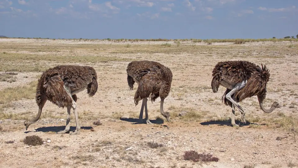 namibia-2019-05-0812-38-11.jpg