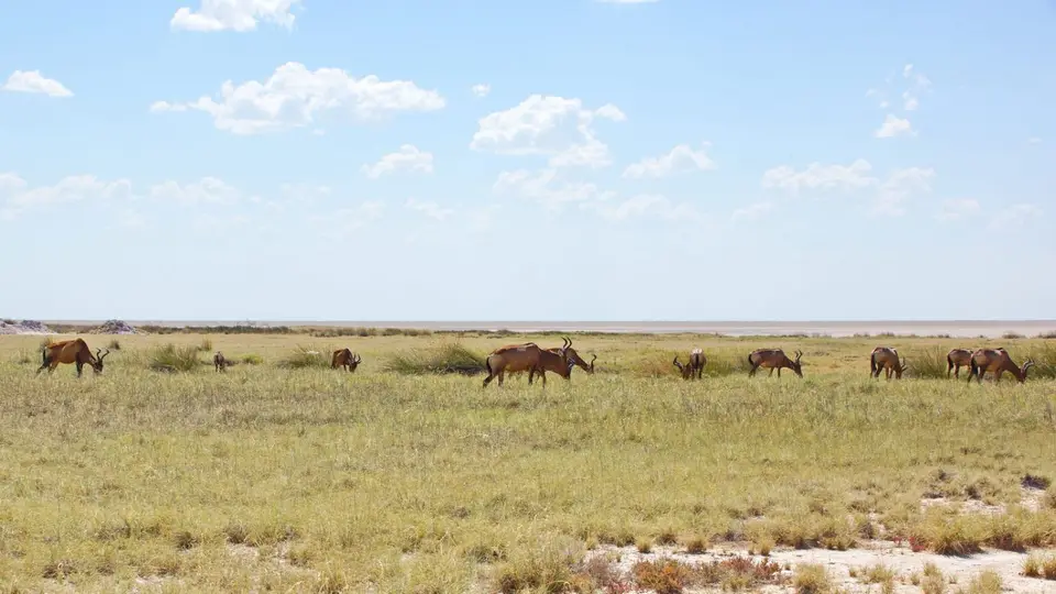 namibia-2019-05-0813-56-02.jpg