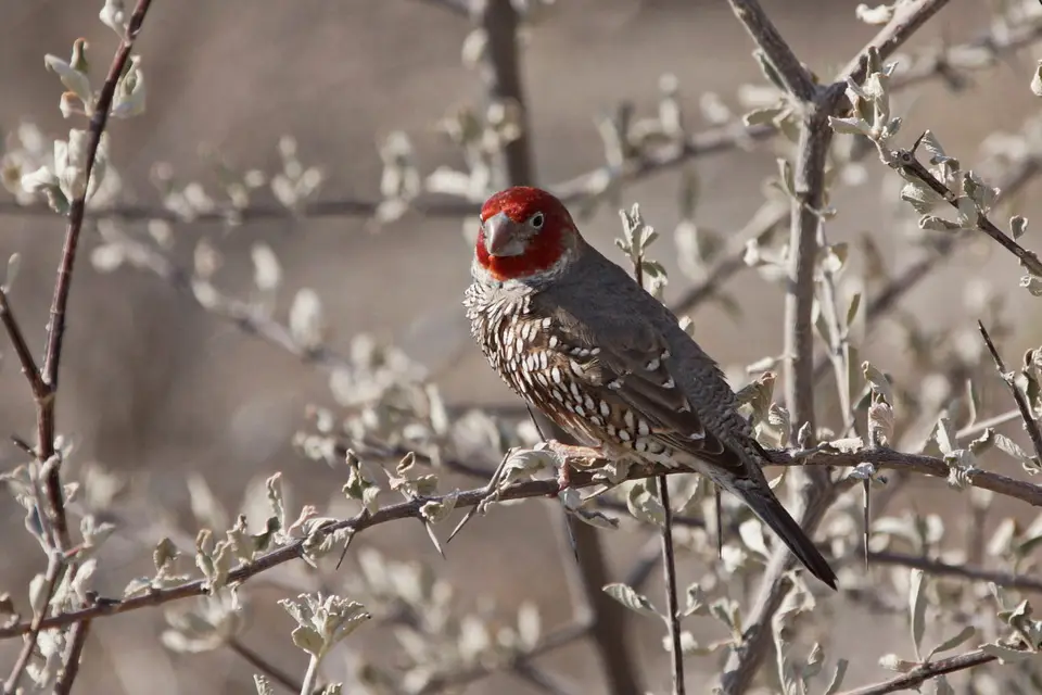 namibia-2019-05-1010-20-02.jpg