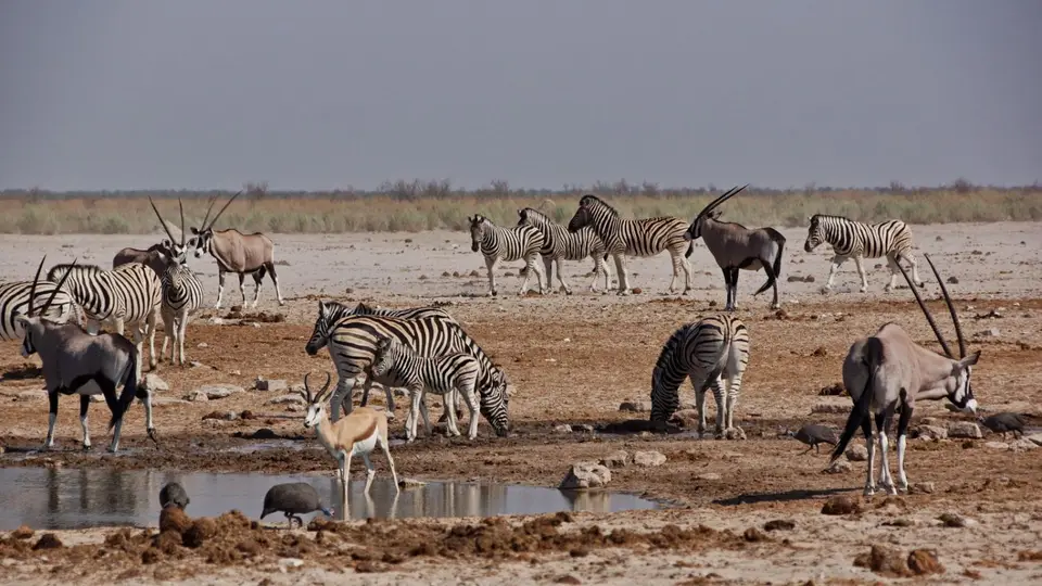 namibia-2019-05-1011-15-01.jpg