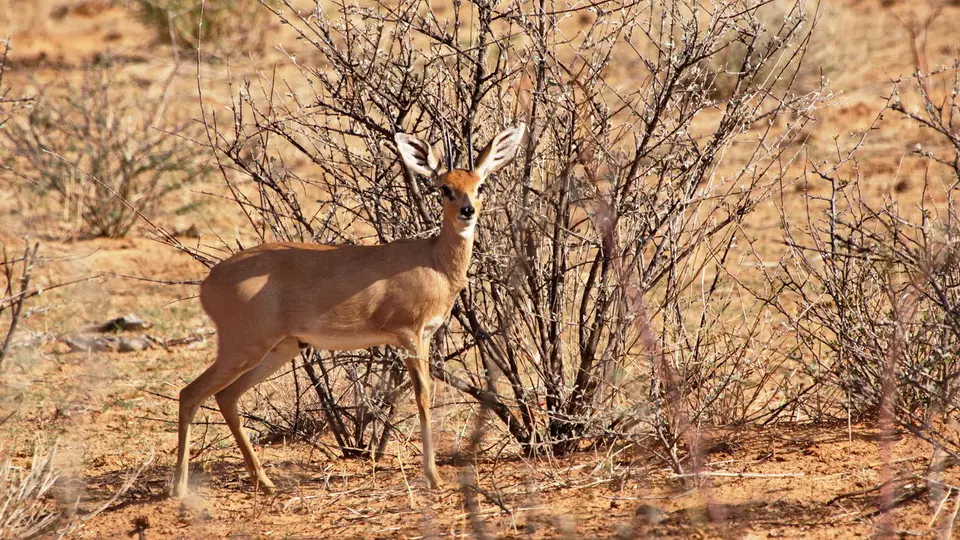 namibia-2019-05-1016-24-08.jpg