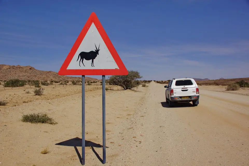 namibia-2019-05-1412-43-34.jpg