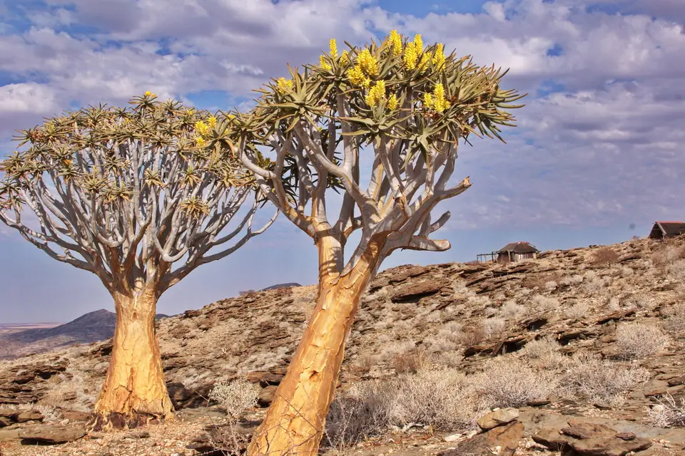 namibia-2019-05-1510-14-16.jpg