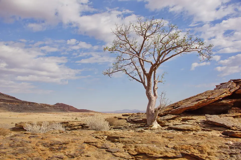 namibia-2019-05-1510-27-08_1.jpg