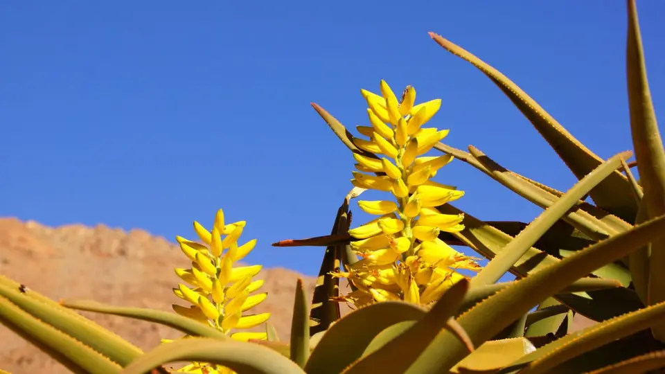 namibia-2019-05-1709-39-56.jpg