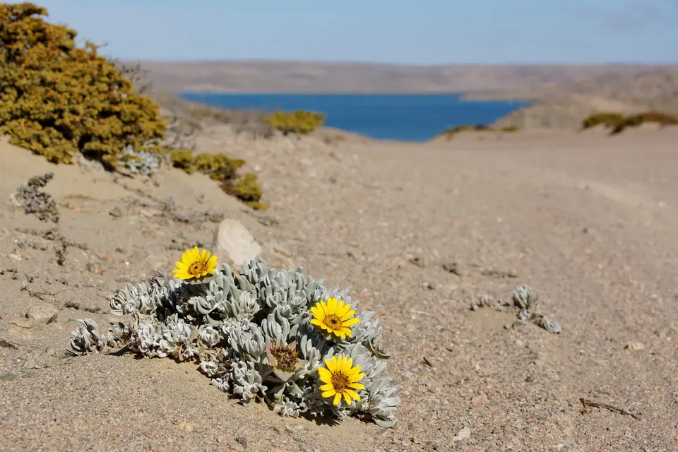 namibia-2019-05-1915-33-56.jpg