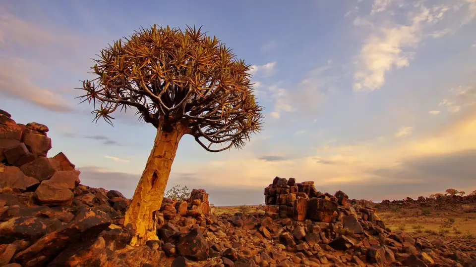 namibia-2019-05-2316-30-34.jpg