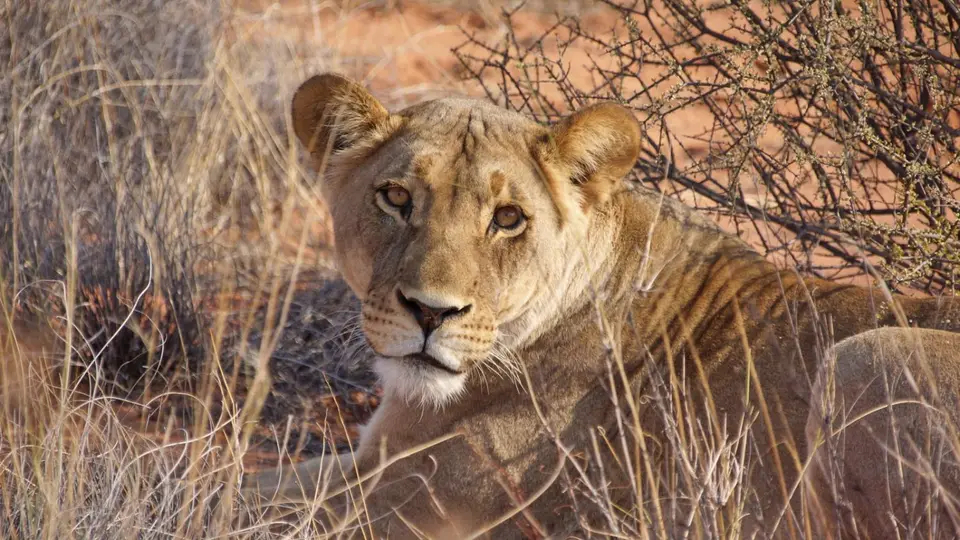 namibia-2019-05-2509-49-13.jpg