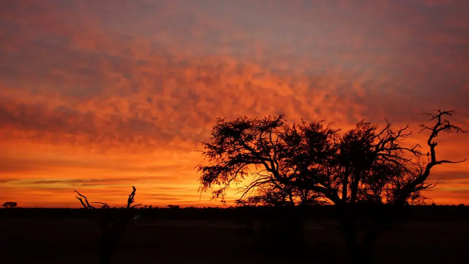 namibia-2019-05-2707-05-10.jpg
