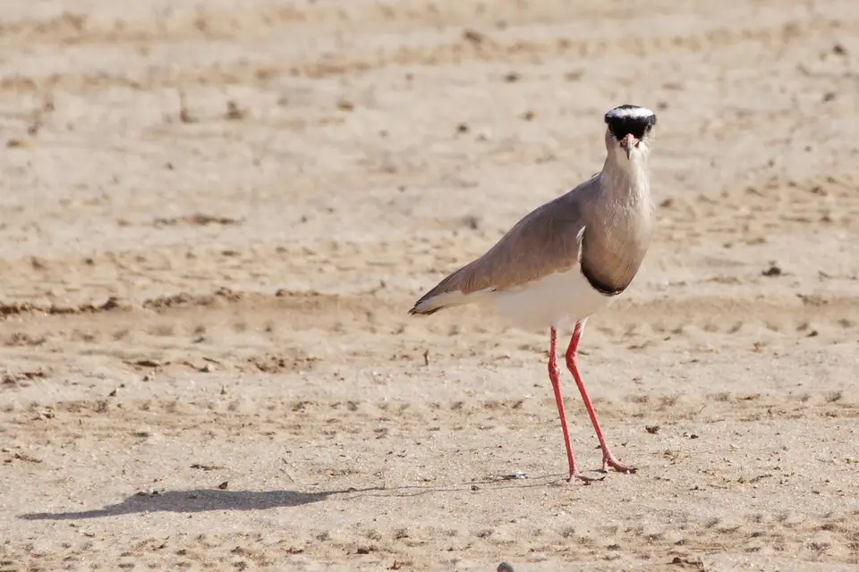 namibia-2019-05-2710-21-09.jpg