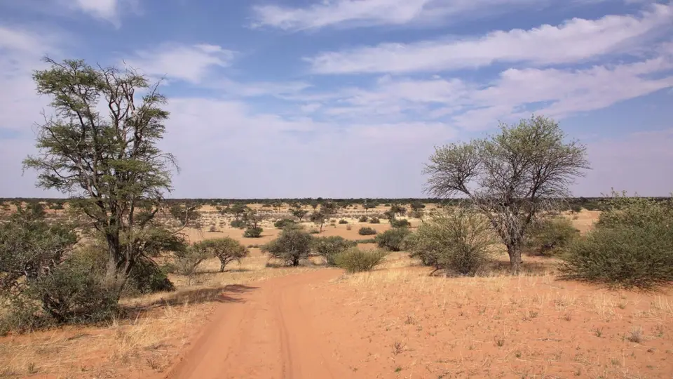 namibia-2019-05-2714-26-35.jpg