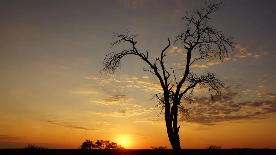 namibia-2019-05-2717-47-24.jpg