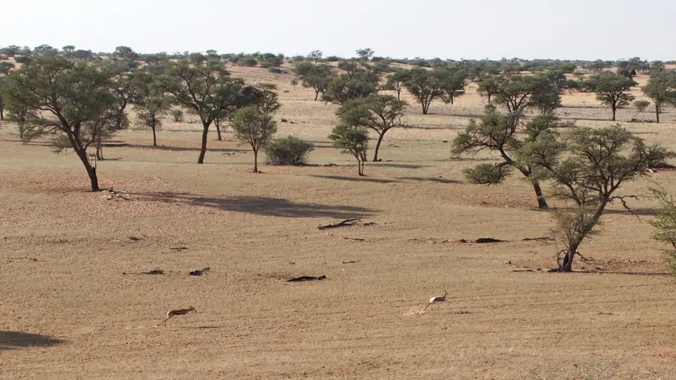 namibia-2019-05-2809-10-27_1.jpg