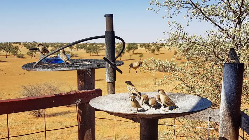 namibia-2019-05-2812-29-36.jpg