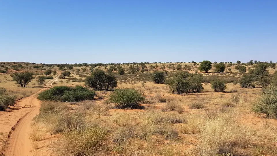 namibia-2019-05-2911-11-16.jpg
