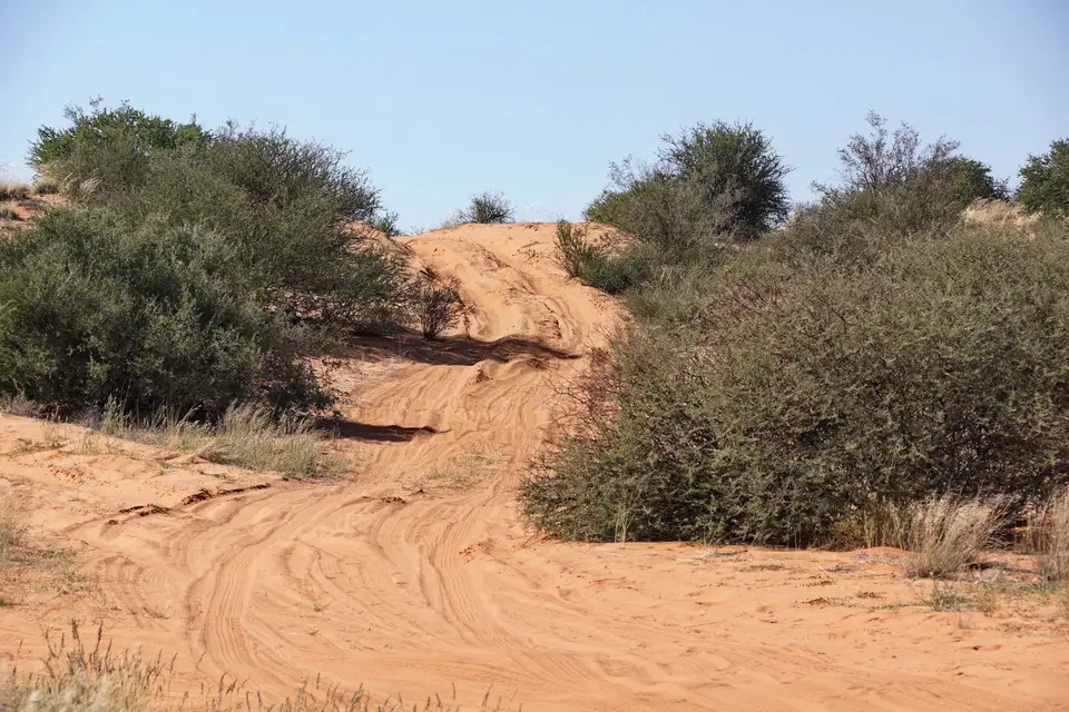 namibia-2019-05-2911-27-57.jpg
