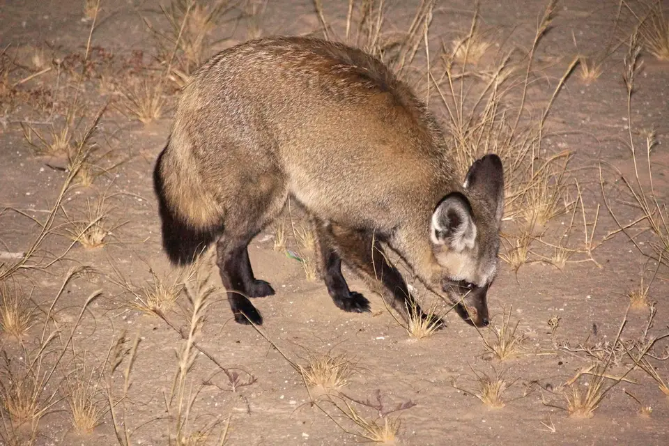 namibia-2019-05-2919-49-04.jpg