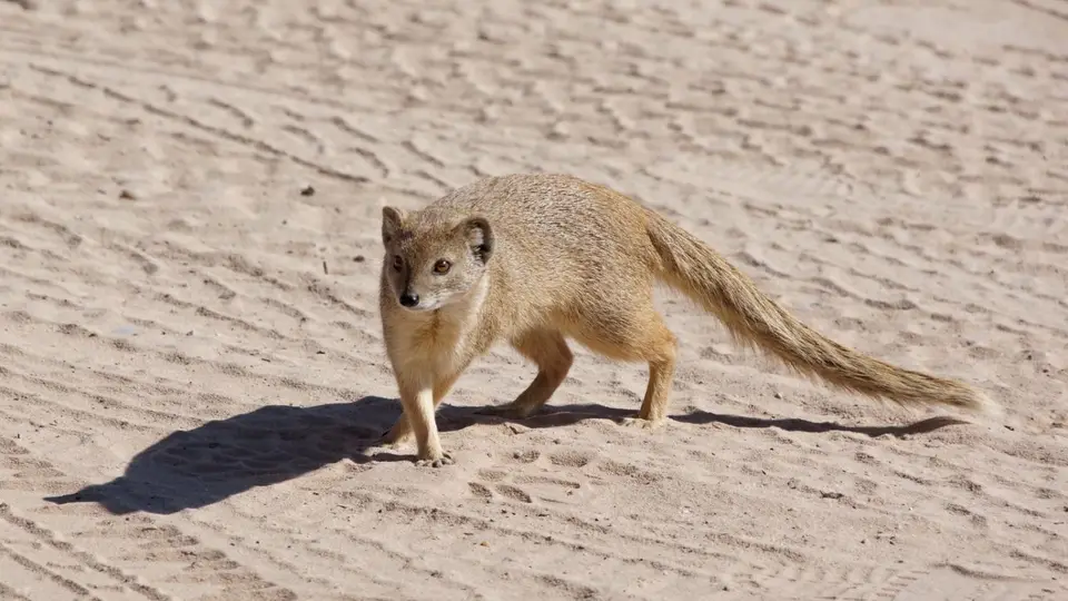 namibia-2019-05-3013-18-47.jpg