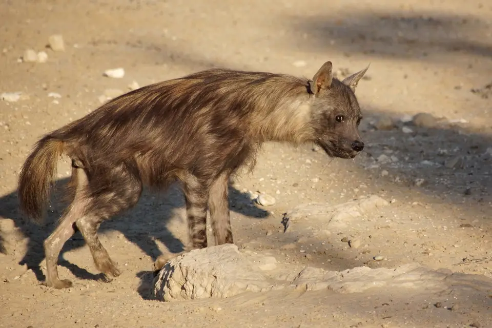 namibia-2019-05-3016-53-37.jpg