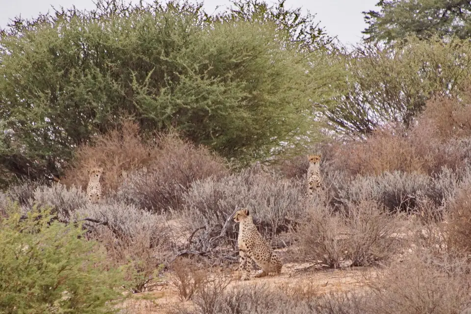 namibia-2019-05-3109-04-03.jpg