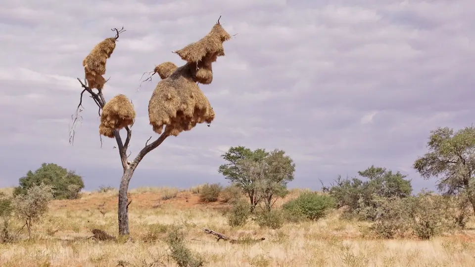 namibia-2019-05-3111-23-01.jpg