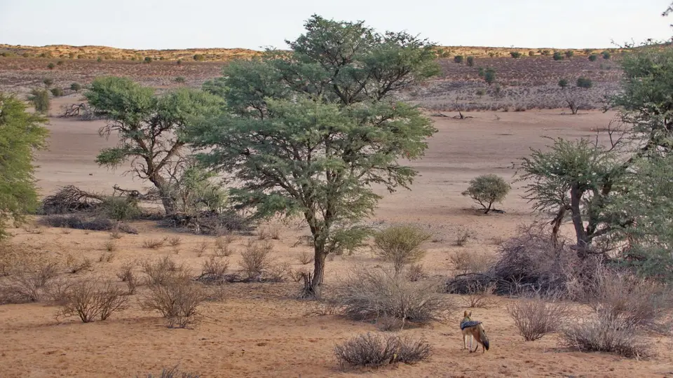 namibia-2019-05-3116-58-58.jpg