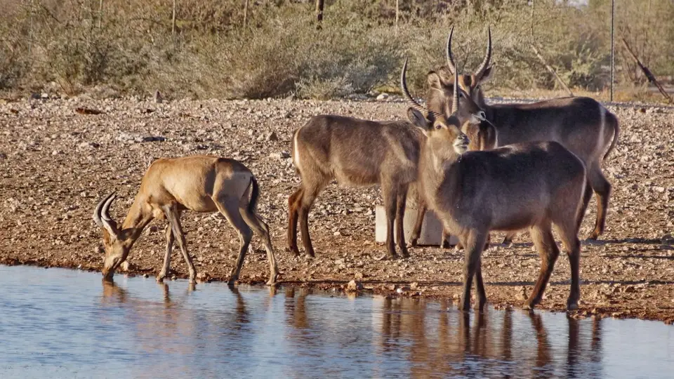 namibia-2019-06-0117-02-41.jpg