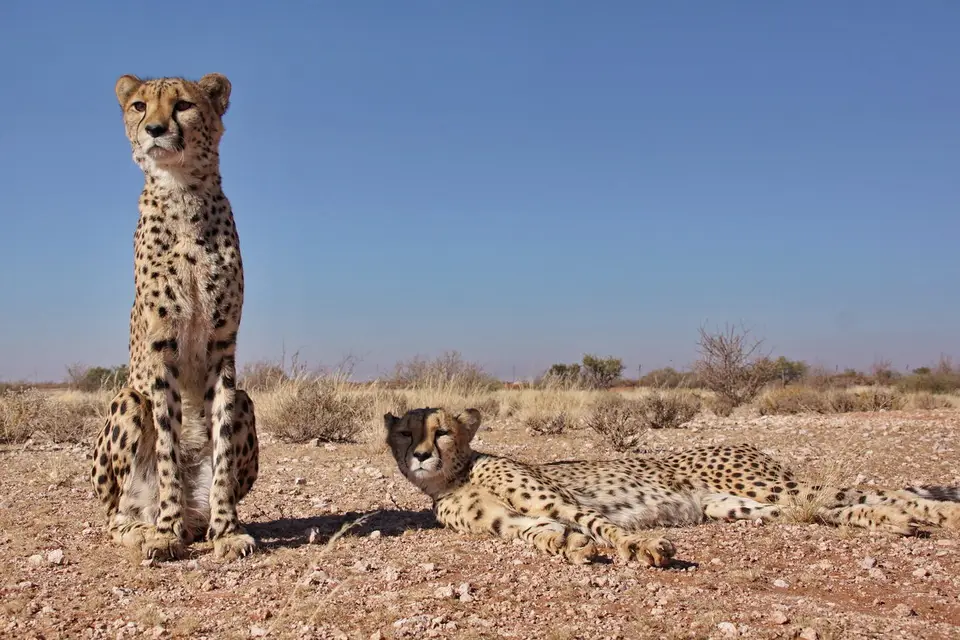 namibia-2019-06-0210-23-58.jpg