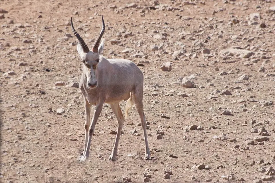 namibia-2019-06-0213-15-38.jpg