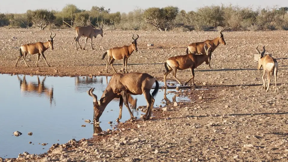 namibia-2019-06-0217-17-41.jpg