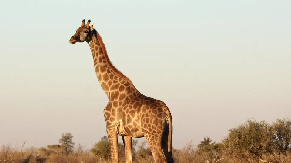 namibia-2019-06-0217-40-58.jpg
