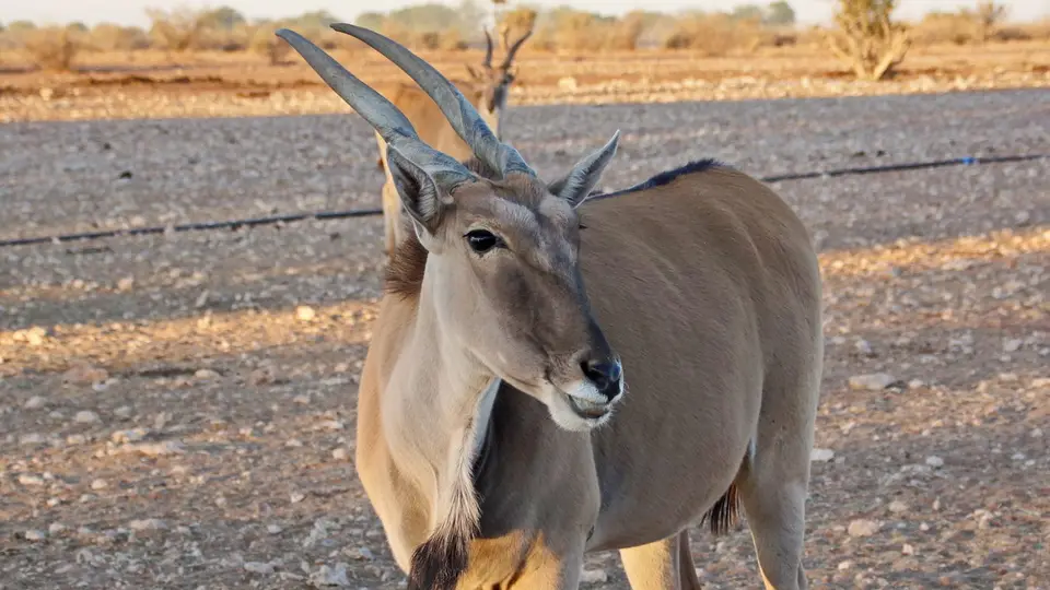 namibia-2019-06-0217-45-34.jpg