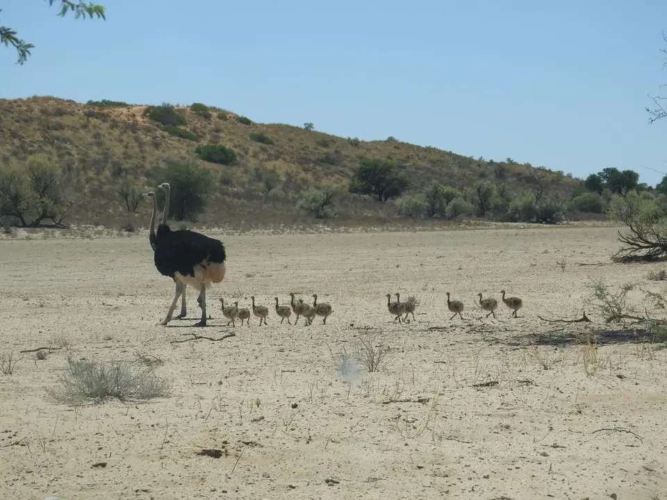 DSCN0370.JPG
